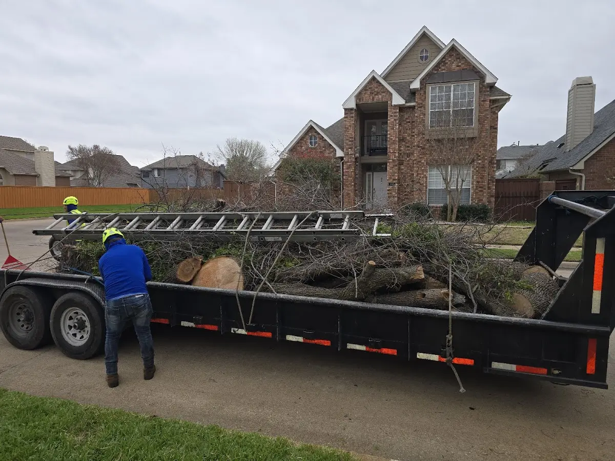 Expert Tree Fertilization with proper safety equipment in Marion Heights